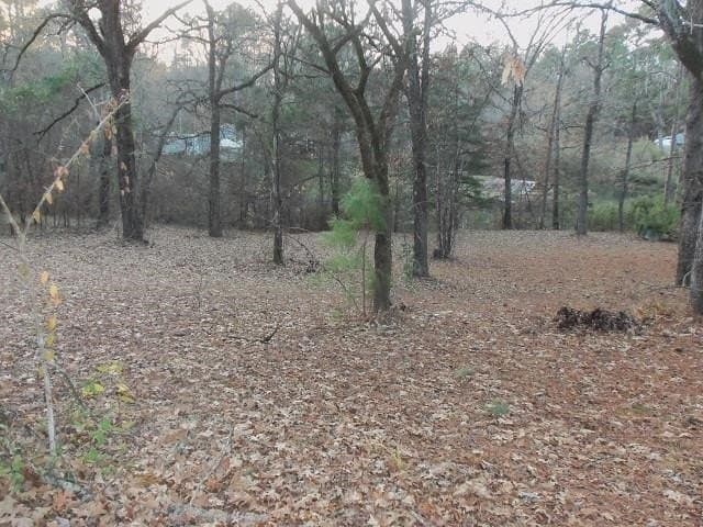 0.59 acres in Rusk County gallery image 4