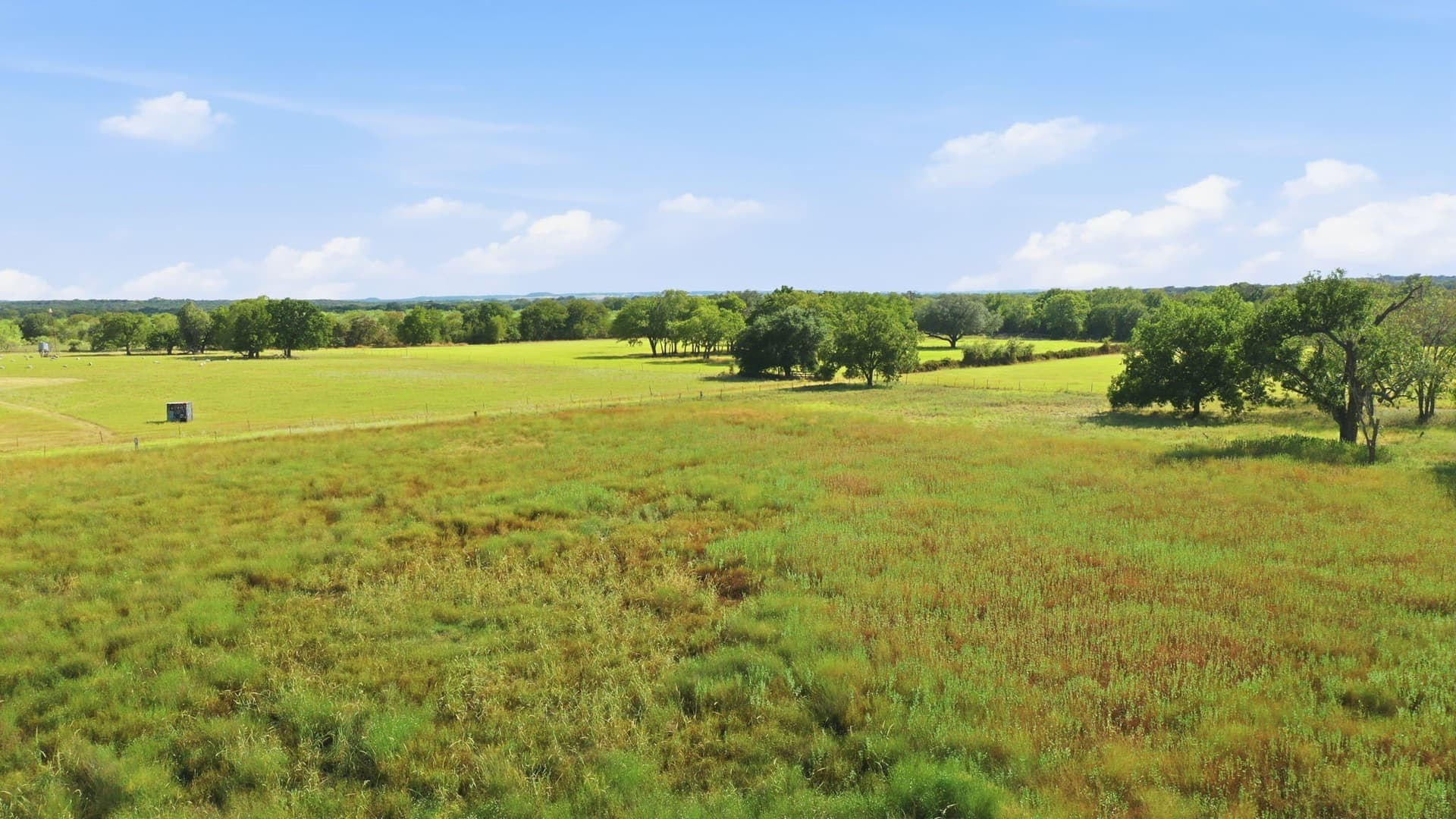 11 acres in Bosque County - photo 11