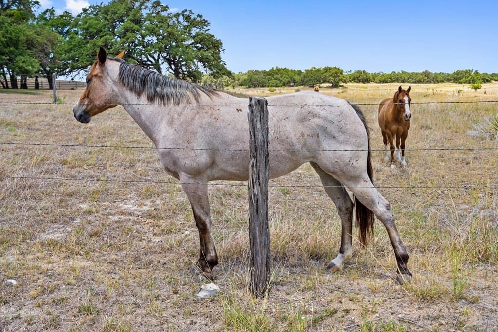 5 acres in Blanco County - photo 23