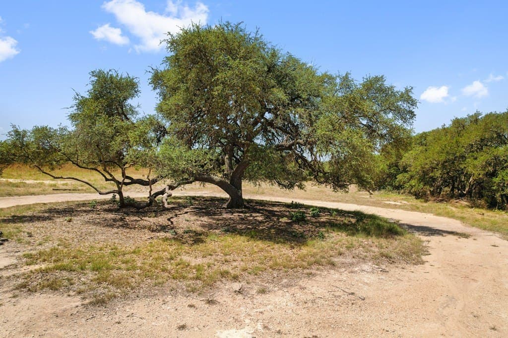 5 acres in Blanco County - photo 15