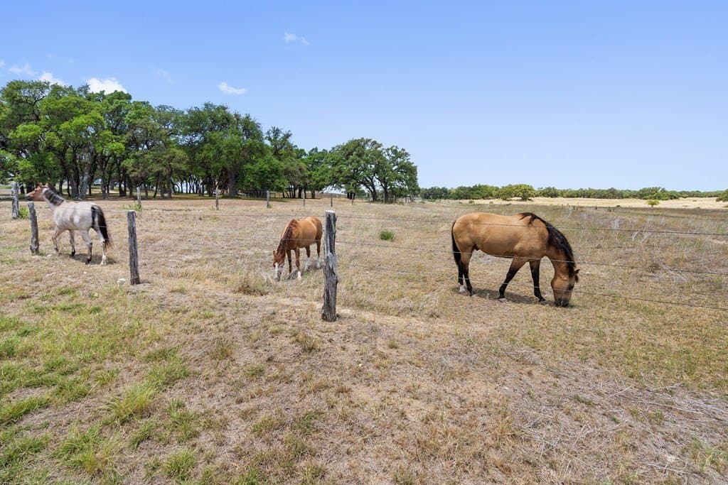 5 acres in Blanco County - photo 24