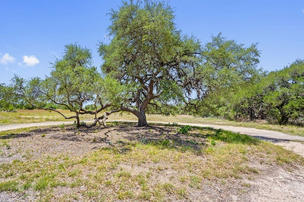 5 acres in Blanco County - photo 12