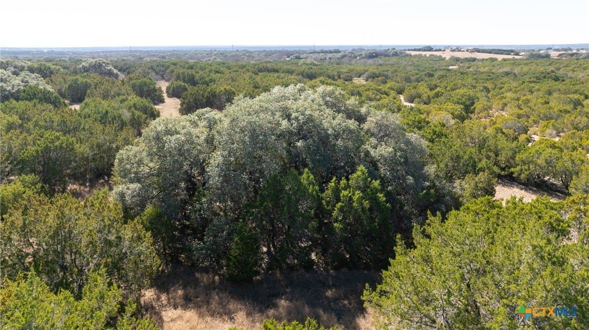 20 acres in Lampasas County - photo 19