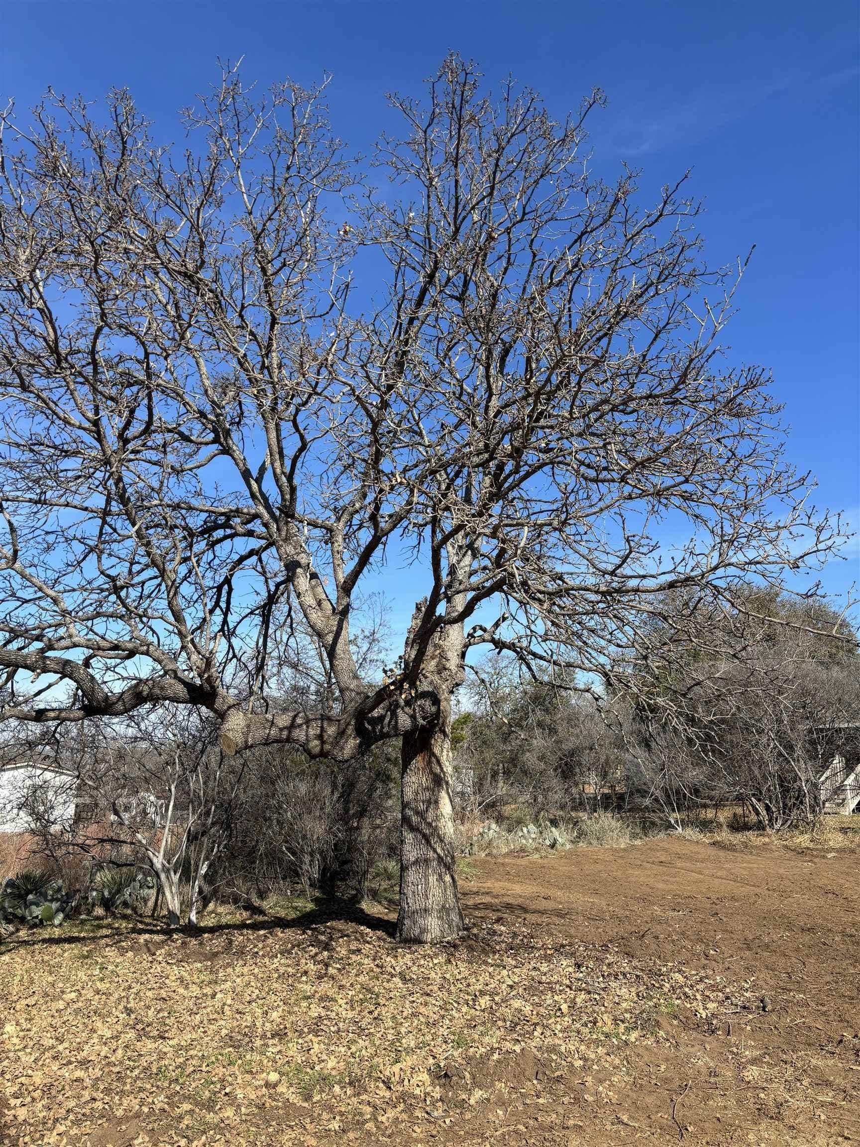0.23 acres in Burnet County gallery image 3