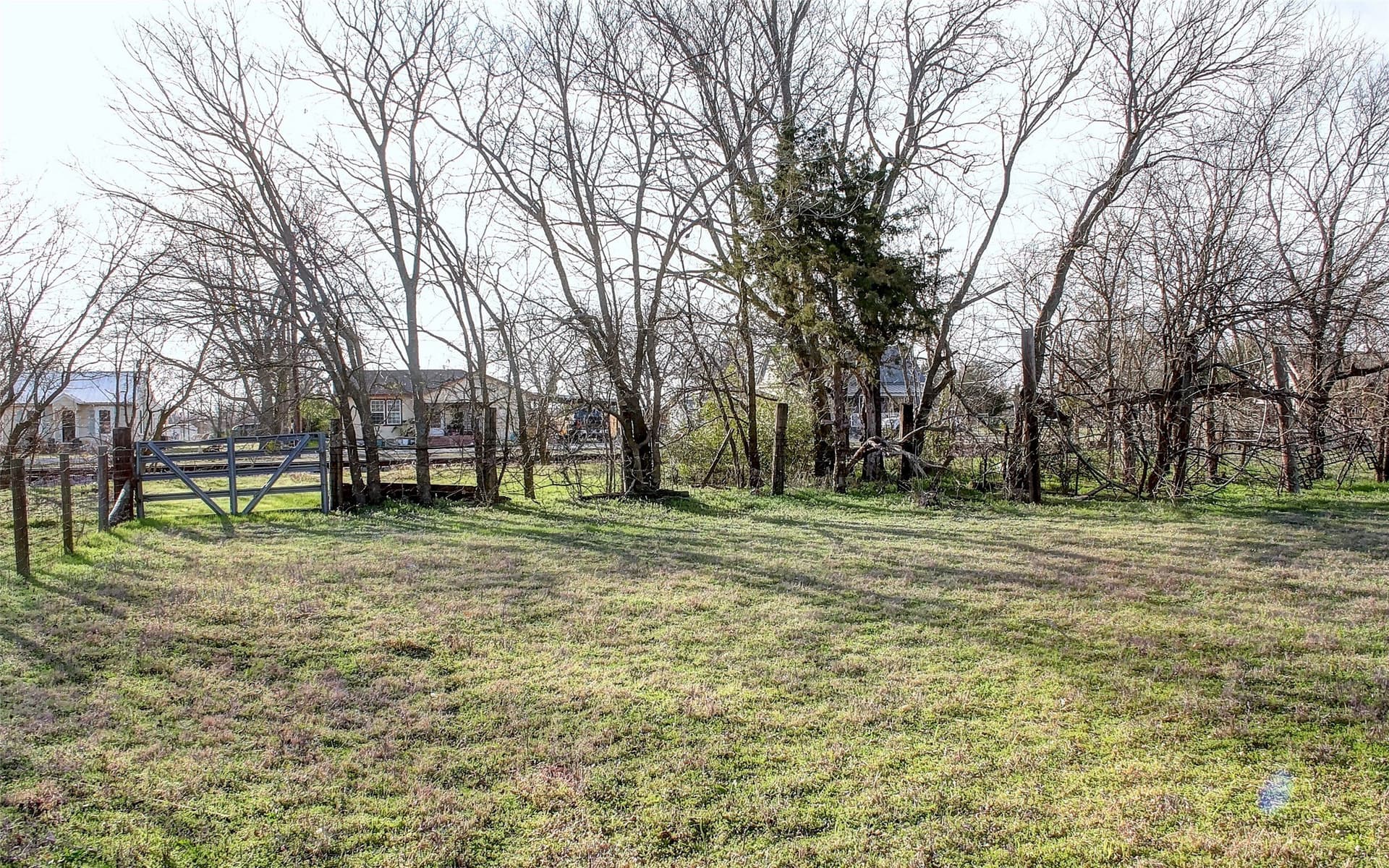 0.5 acres in Collin County - photo 9