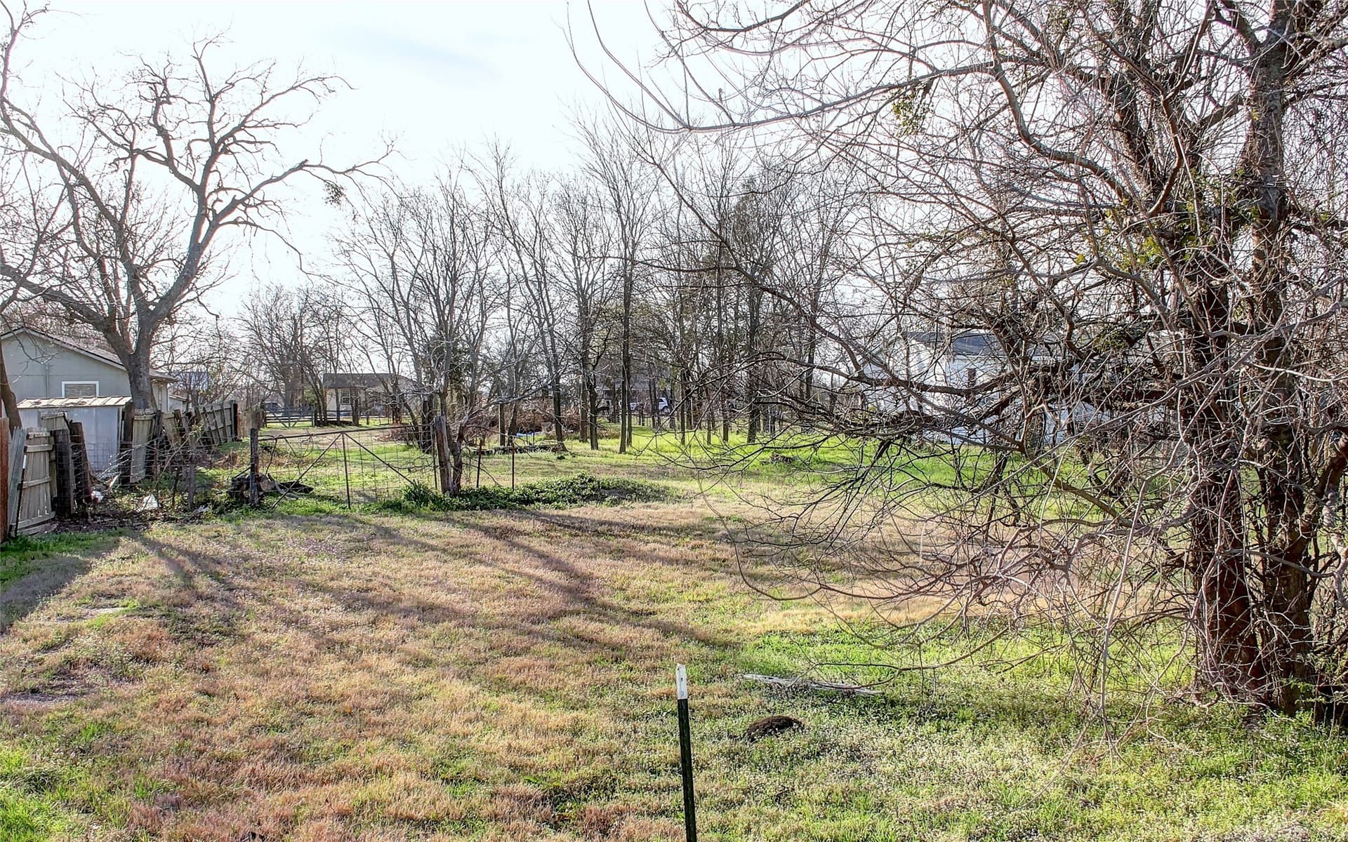 0.5 acres in Collin County - photo 7