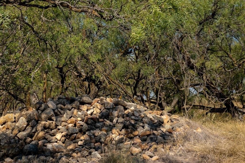 171 acres in Callahan County