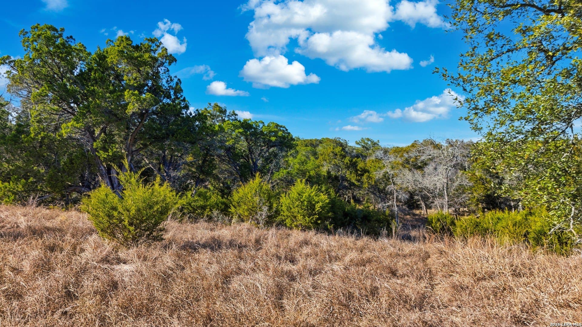 0.89 acres in Kendall County gallery image 3