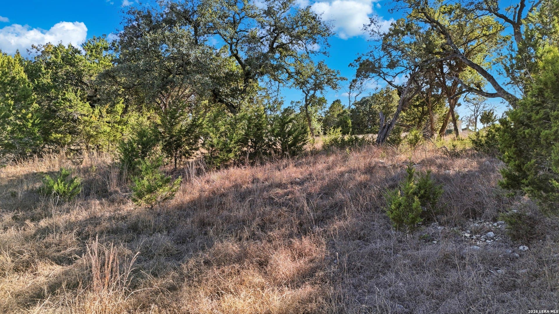 0.89 acres in Kendall County gallery image 4