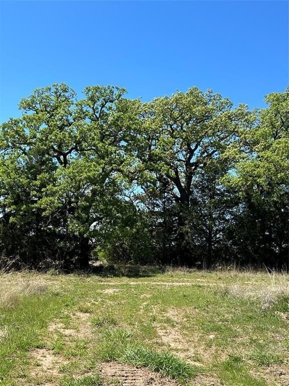 2.2 acres in Montague County gallery image 3