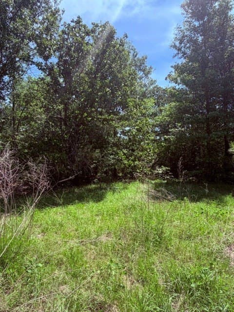 18 acres in Henderson County - photo 6