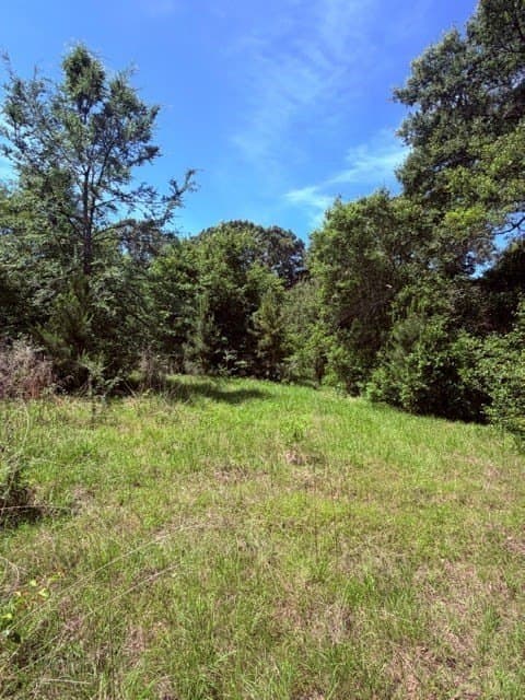 18 acres in Henderson County - photo 7