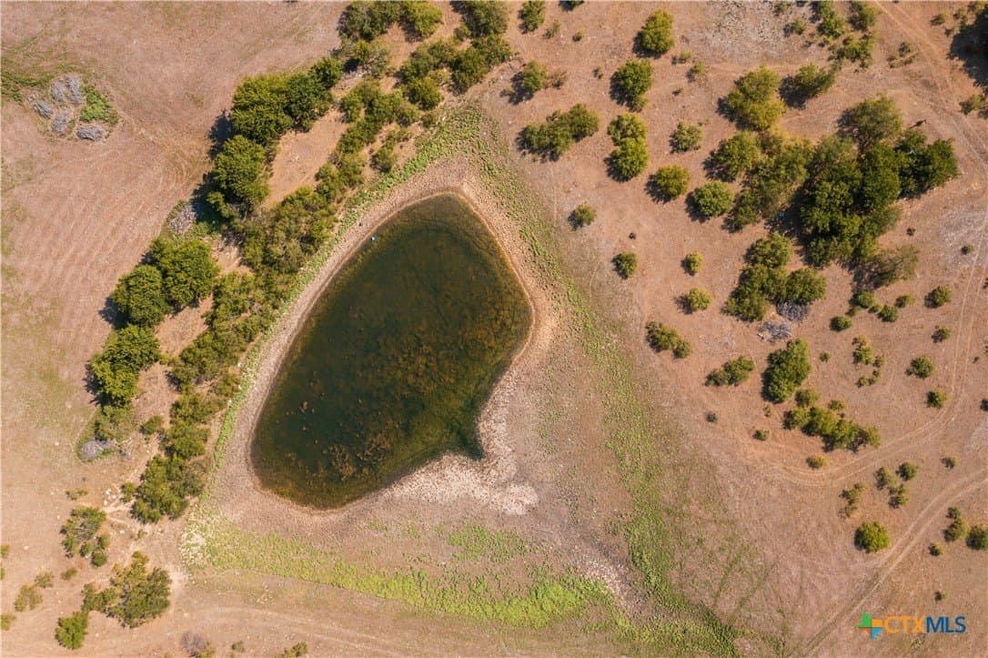 50 acres in Williamson County - photo 6