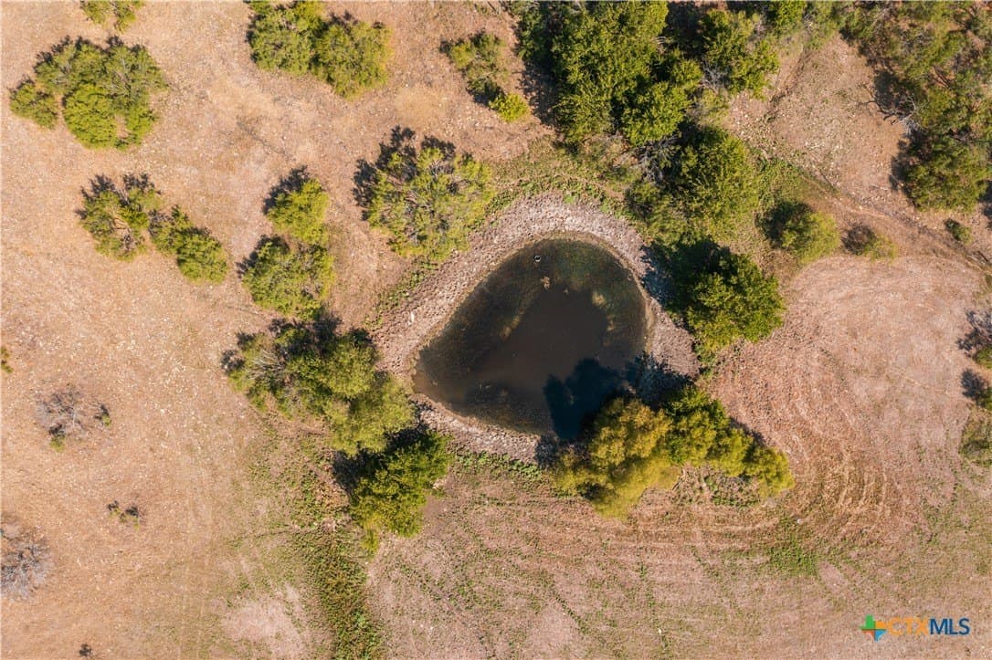 50 acres in Williamson County - photo 7