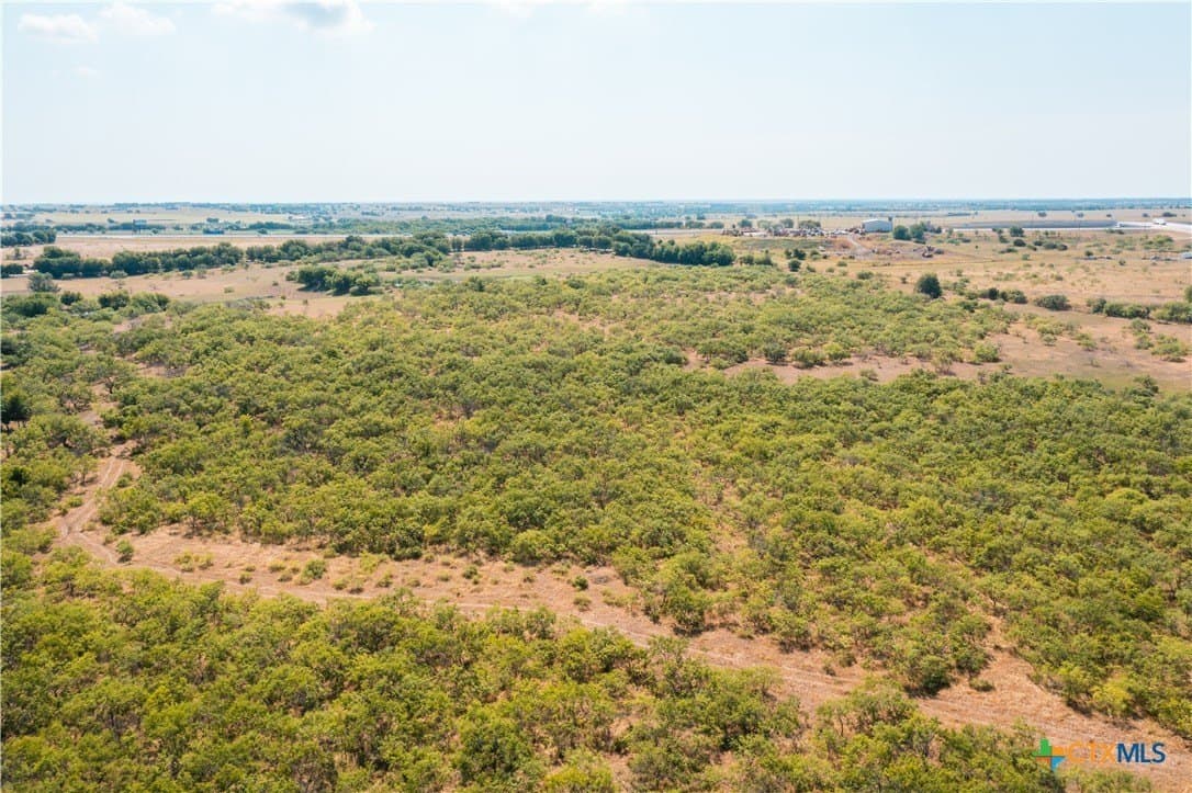50 acres in Williamson County - photo 12