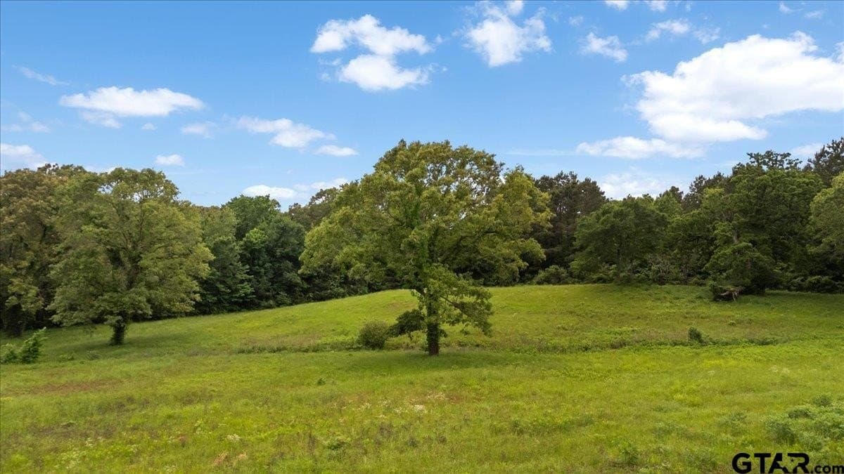 10.61 acres in Smith County - photo 14