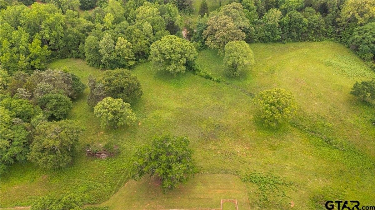 10.61 acres in Smith County - photo 15