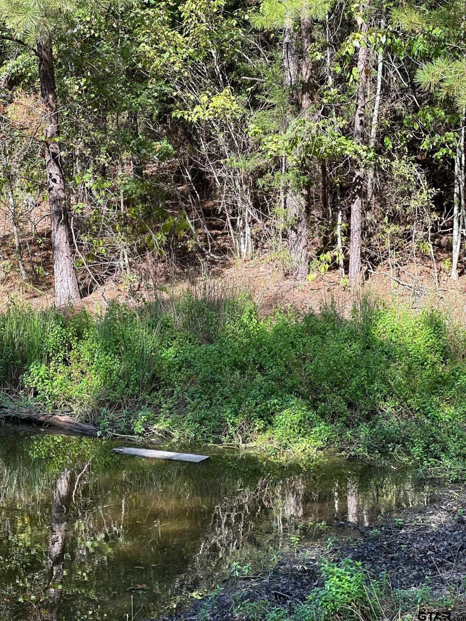10.09 acres in Smith County - photo 22