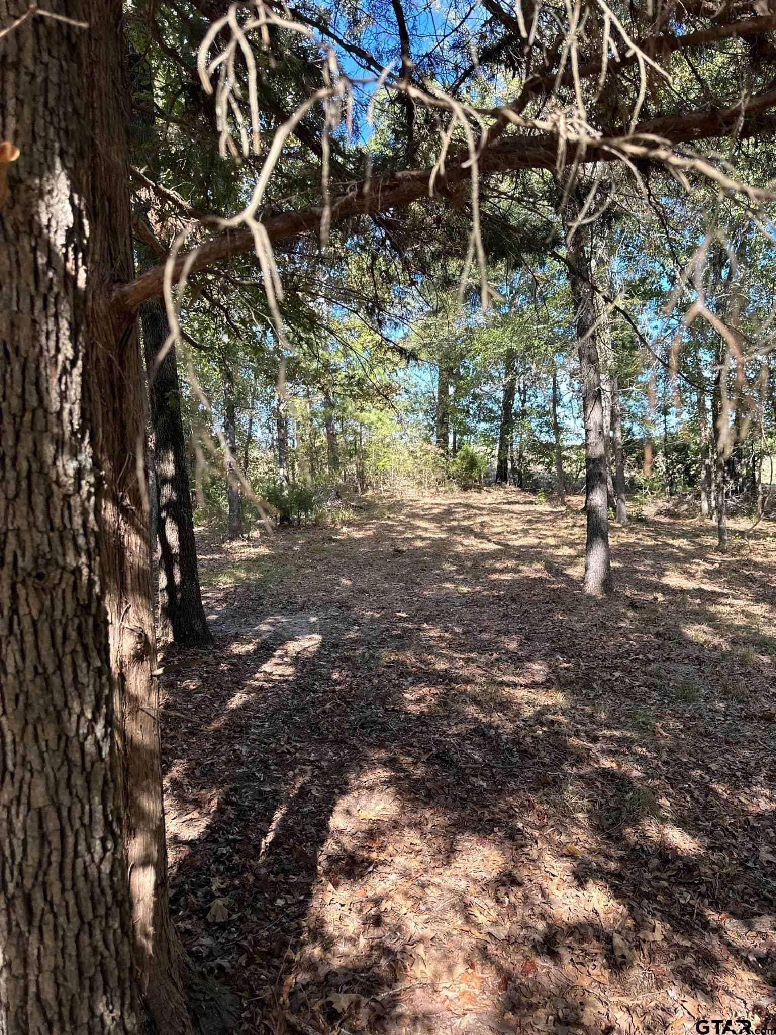 10.09 acres in Smith County - photo 17