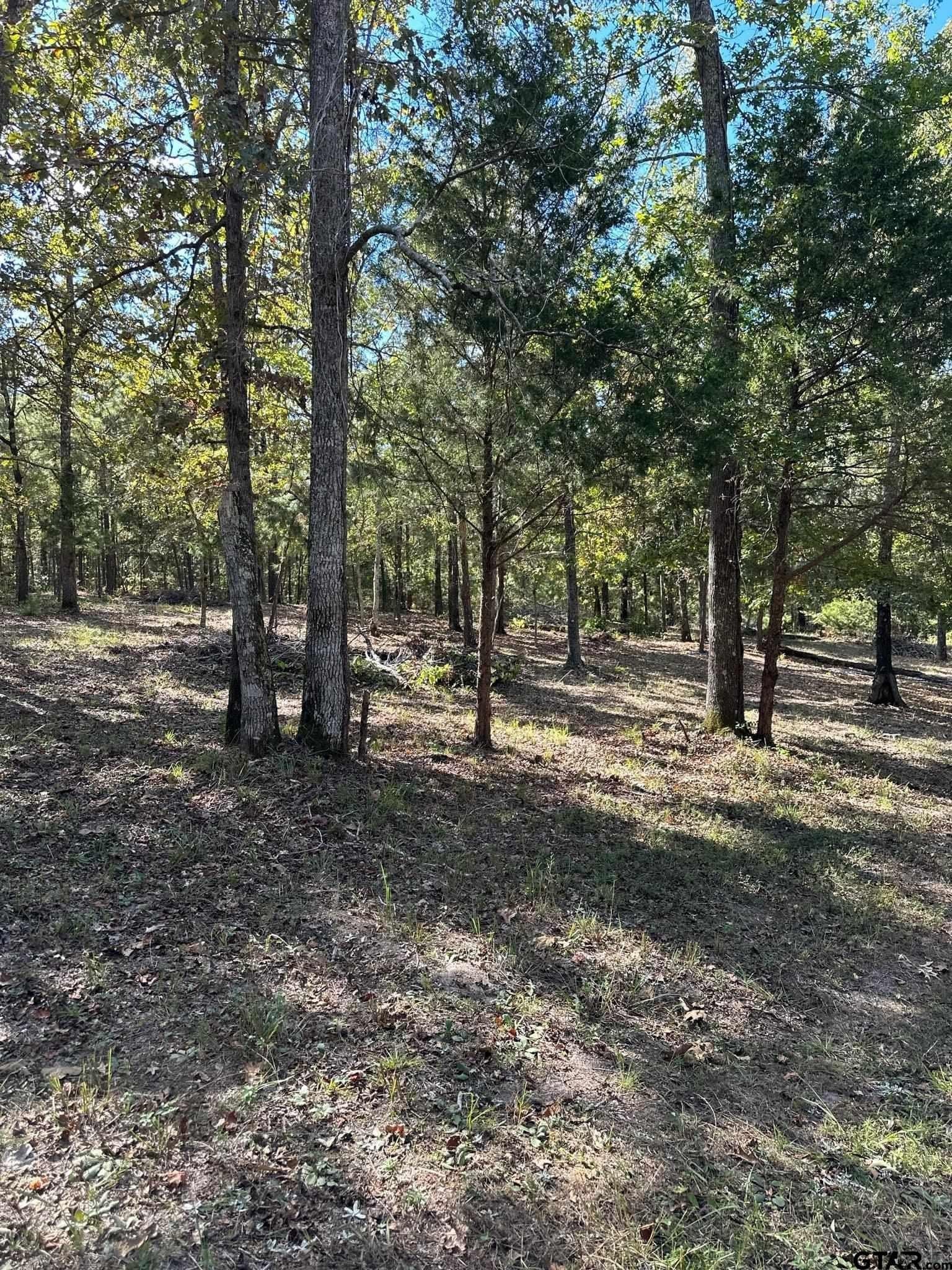 10.09 acres in Smith County - photo 21