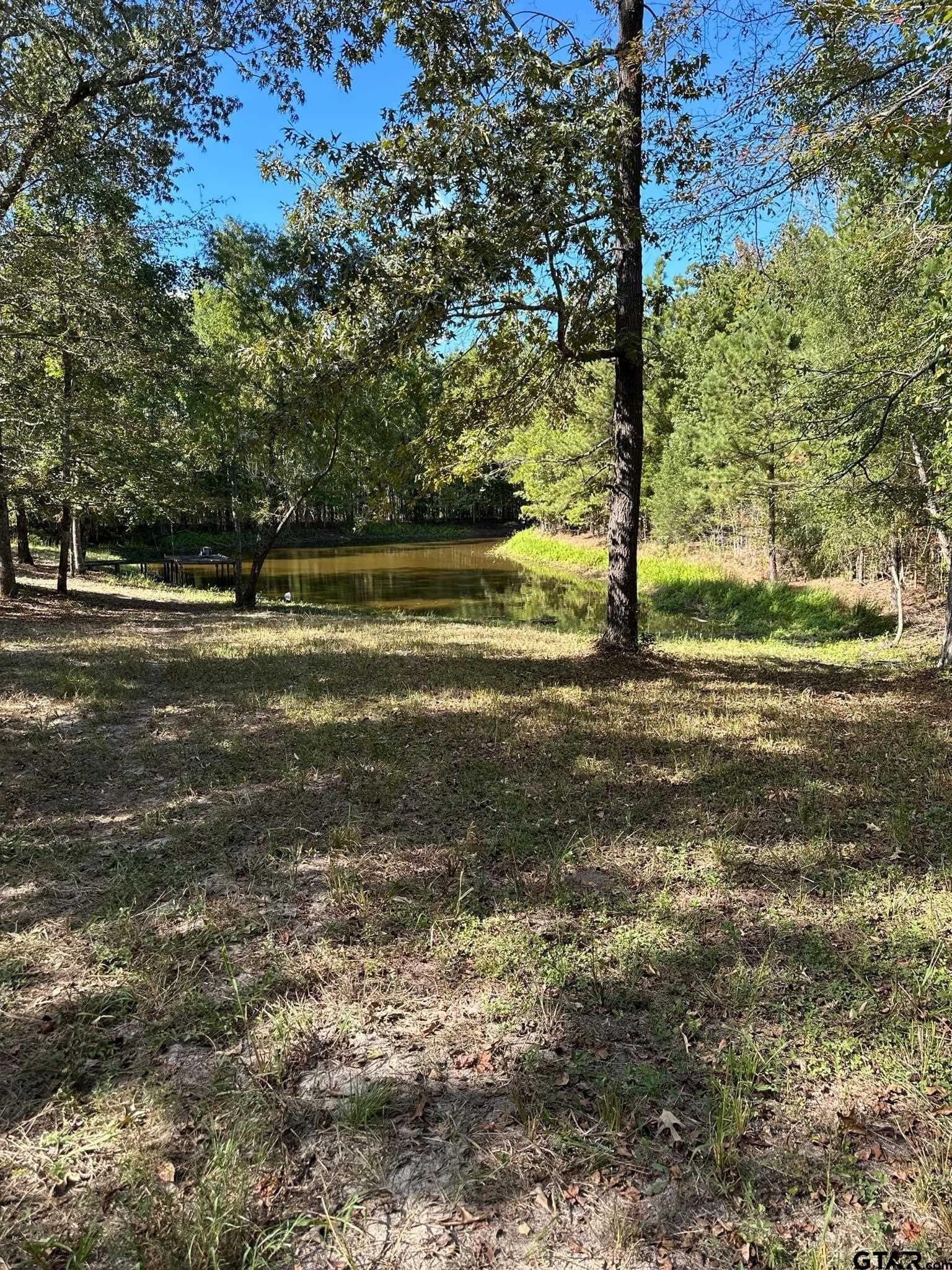 10.09 acres in Smith County - photo 14