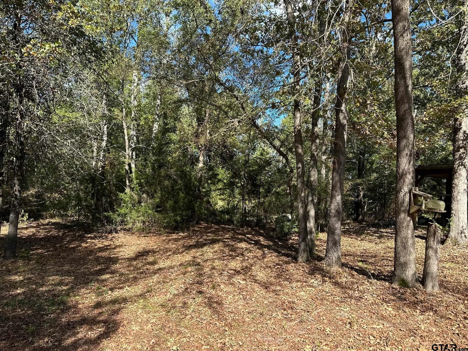 10.09 acres in Smith County - photo 19