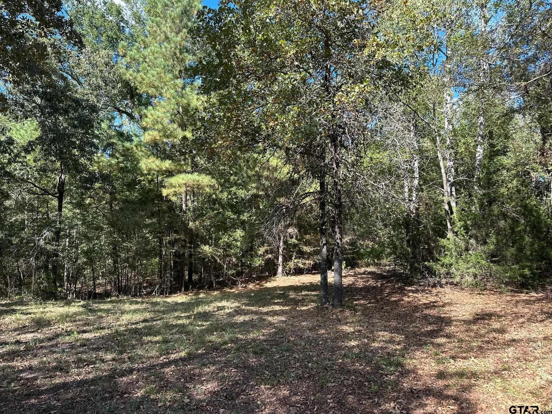 10.09 acres in Smith County - photo 23