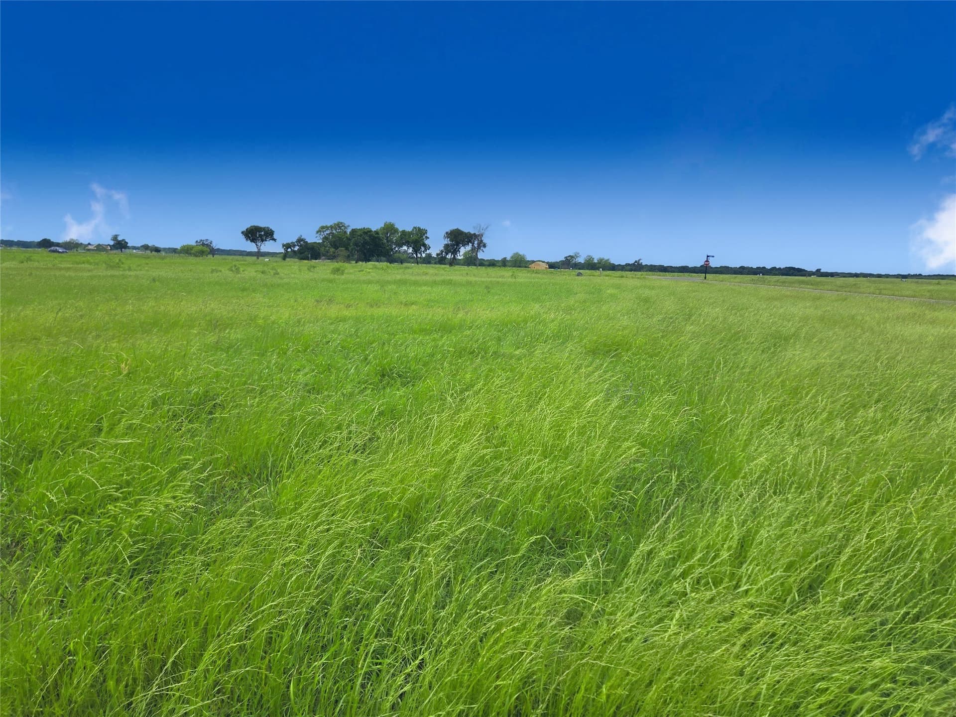 1.03 acres in Navarro County - photo 8