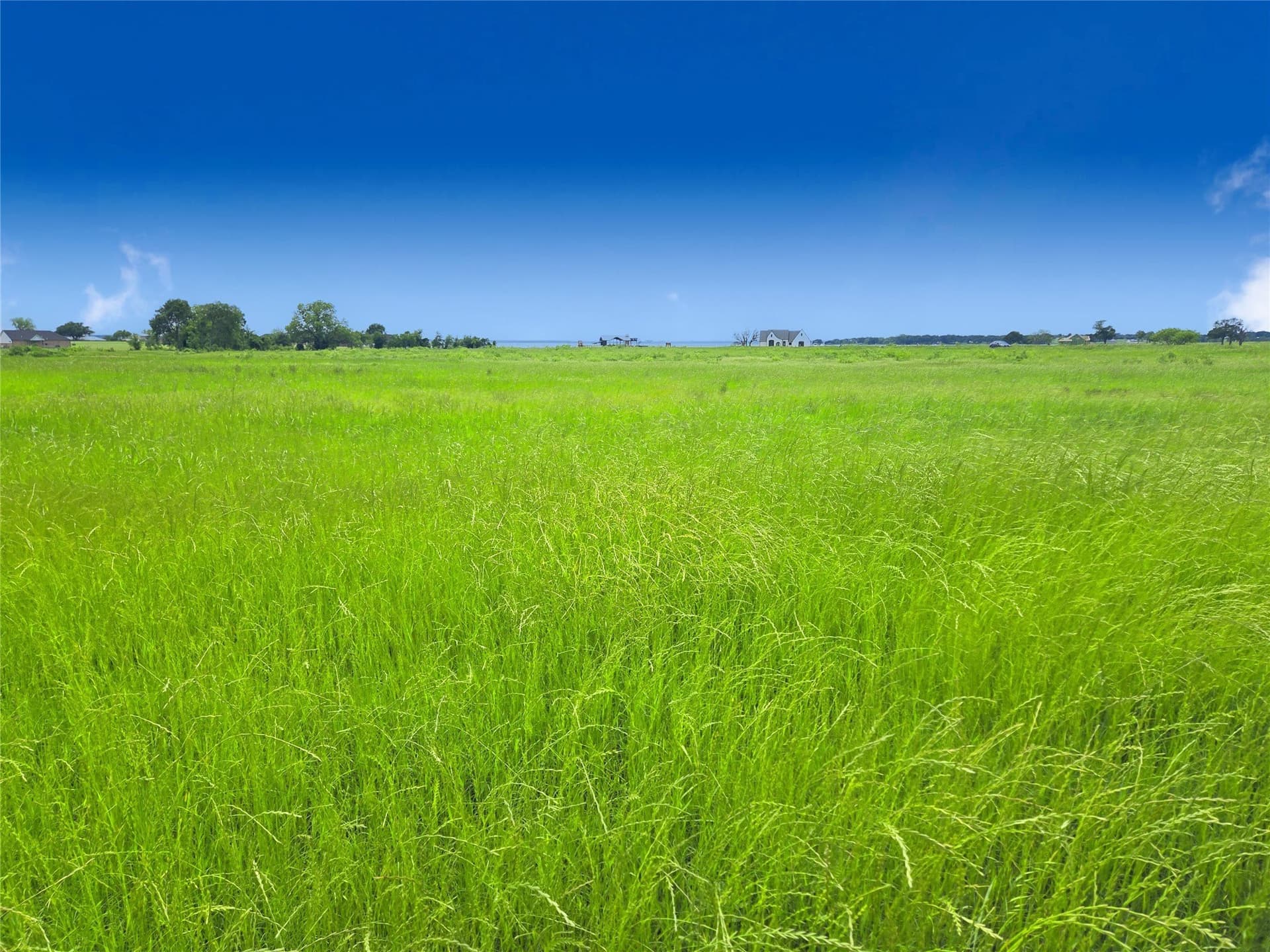 1.03 acres in Navarro County - photo 22