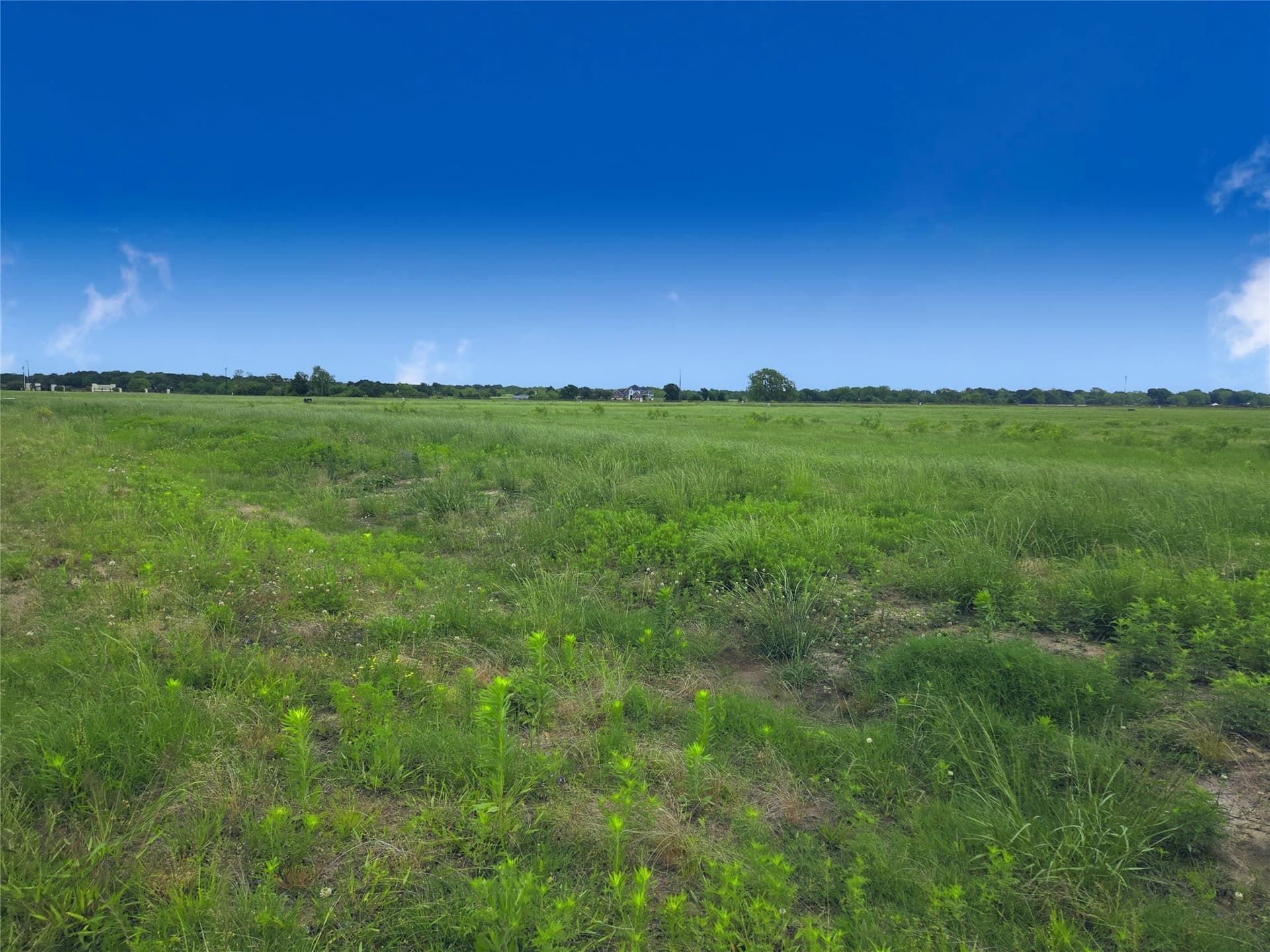 1.03 acres in Navarro County - photo 18