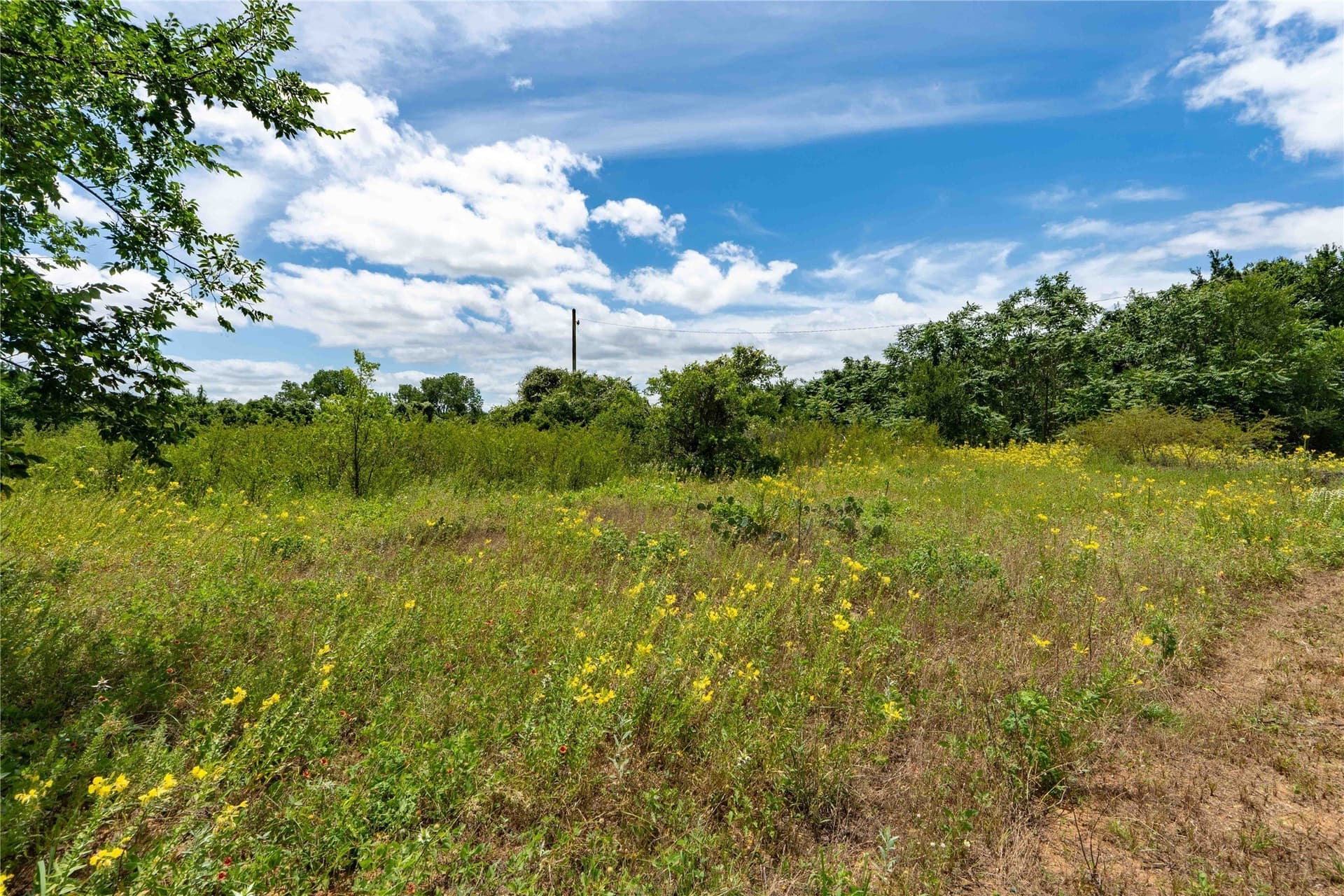 7.89 acres in Wise County - photo 9