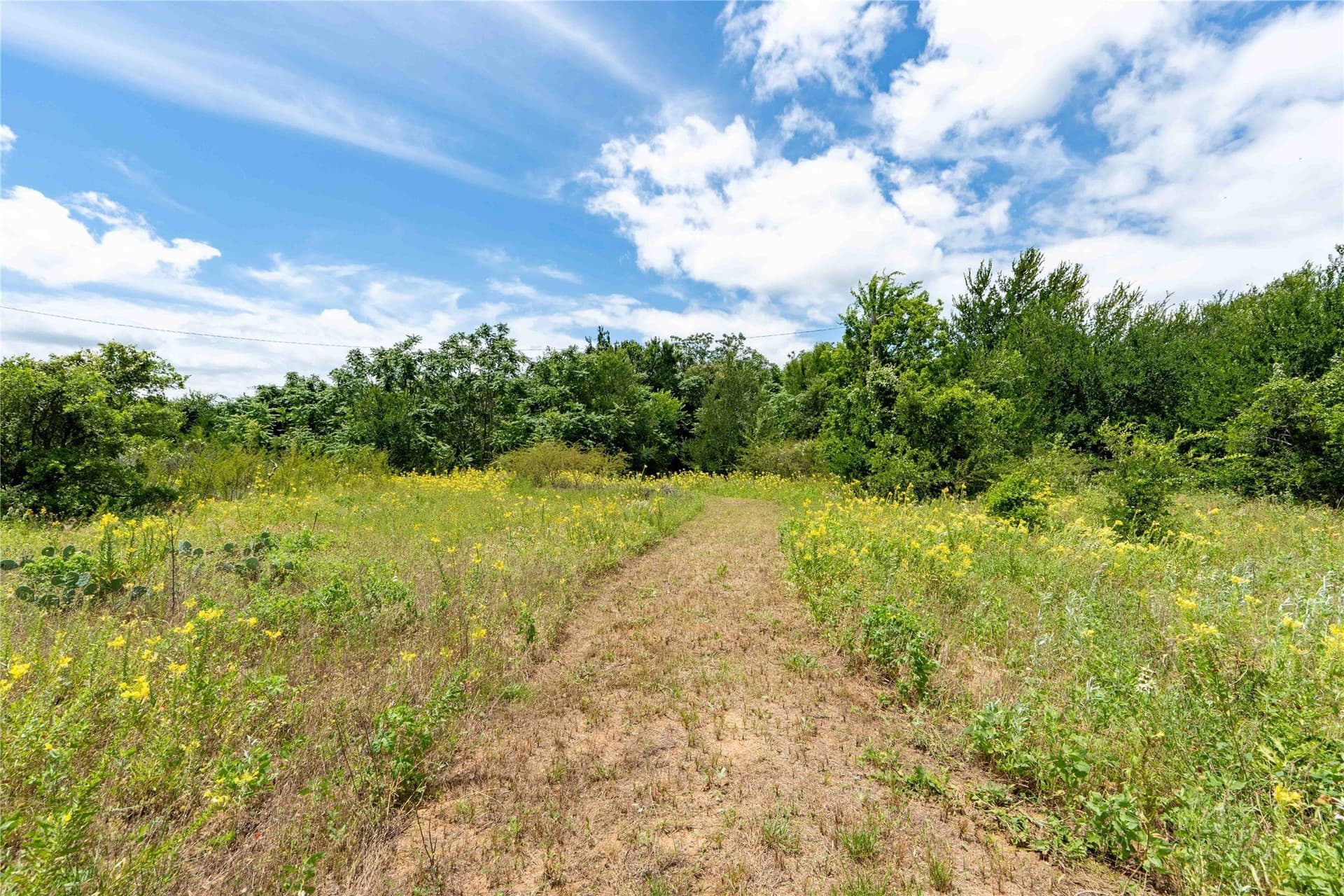 7.89 acres in Wise County - photo 10
