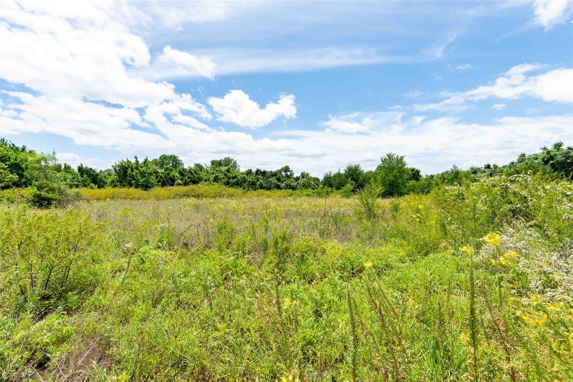 7.89 acres in Wise County - photo 11