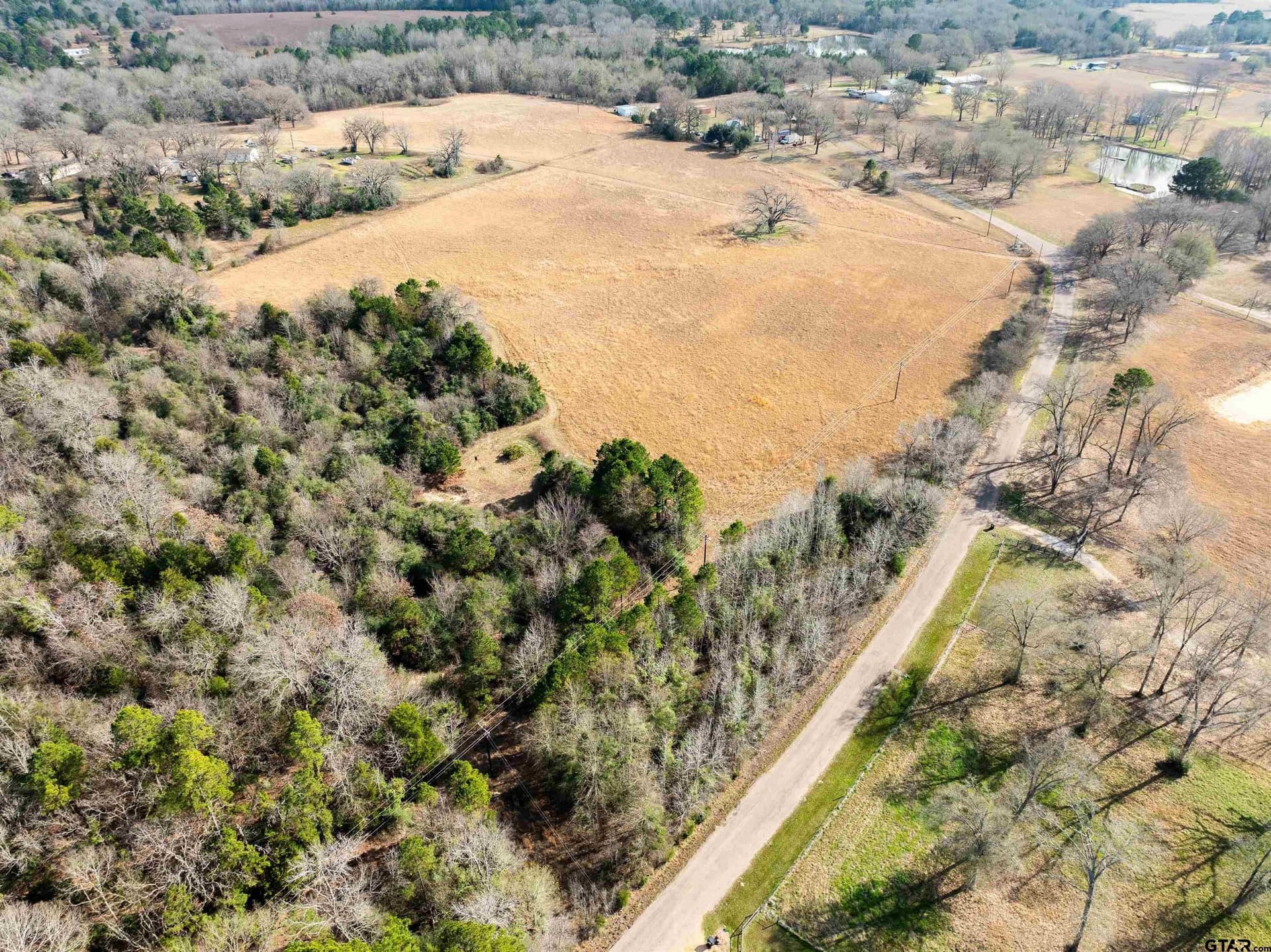 10 acres in Anderson County gallery image 3