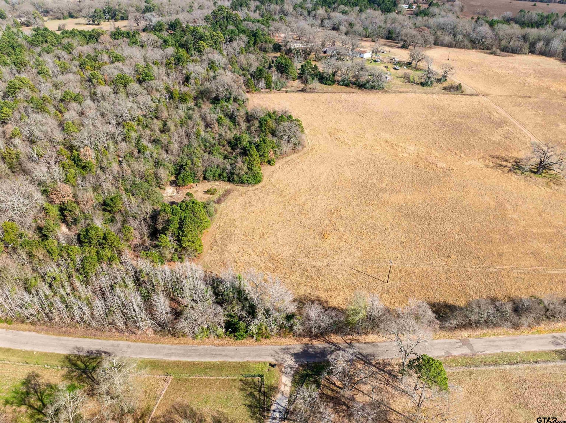 10 acres in Anderson County gallery image 4