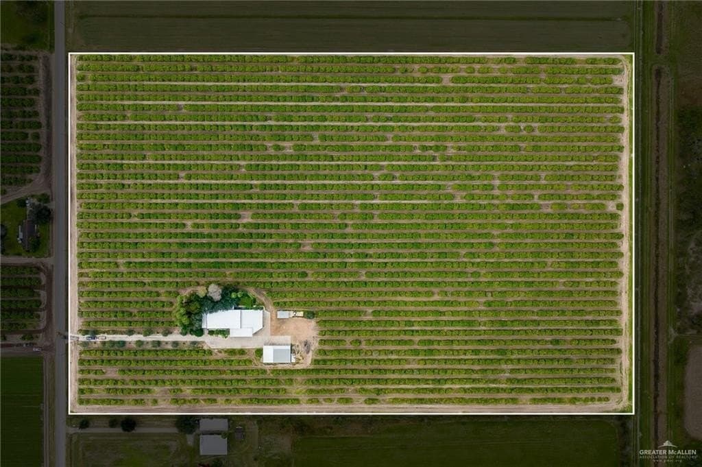 25 acres in Hidalgo County - photo 2