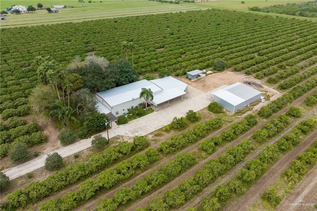 25 acres in Hidalgo County - photo 3