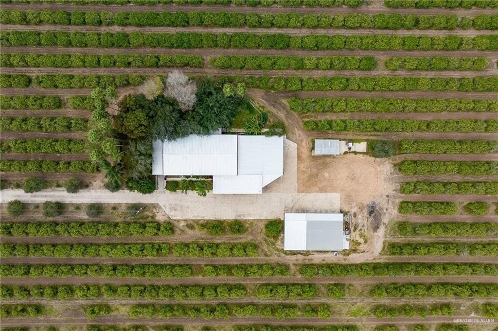 25 acres in Hidalgo County - photo 4