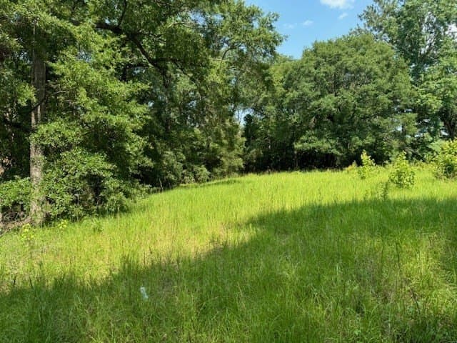 0.52 acres in Texas County gallery image 3