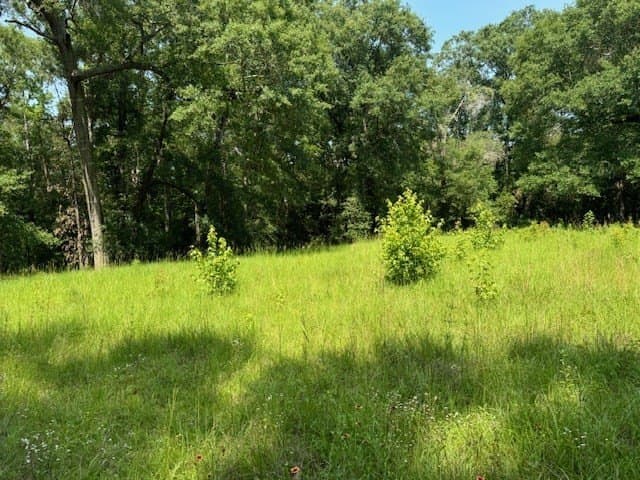 0.52 acres in Texas County gallery image 2