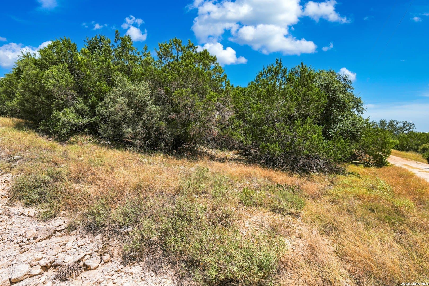 0.16 acres in Comal County - photo 18