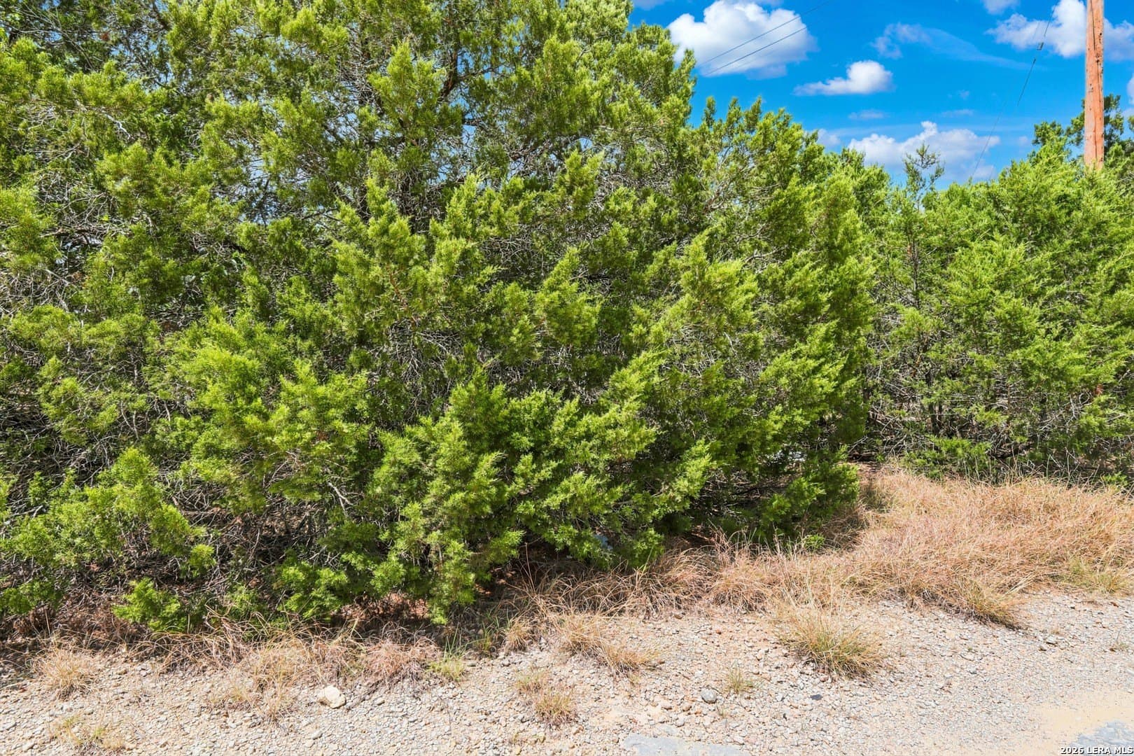 0.16 acres in Comal County - photo 16
