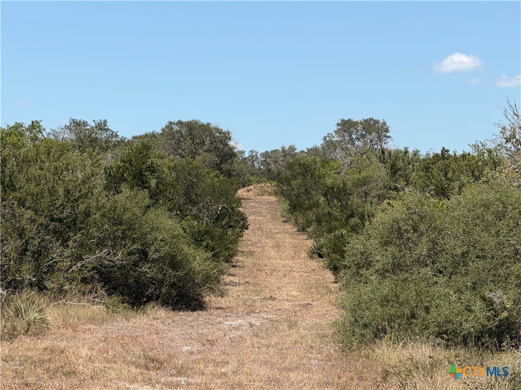 51.99 acres in Goliad County - photo 20