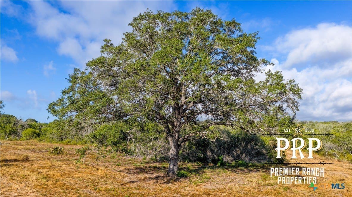 51.99 acres in Goliad County - photo 8