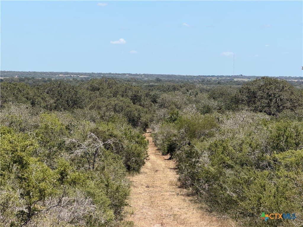 51.99 acres in Goliad County - photo 22
