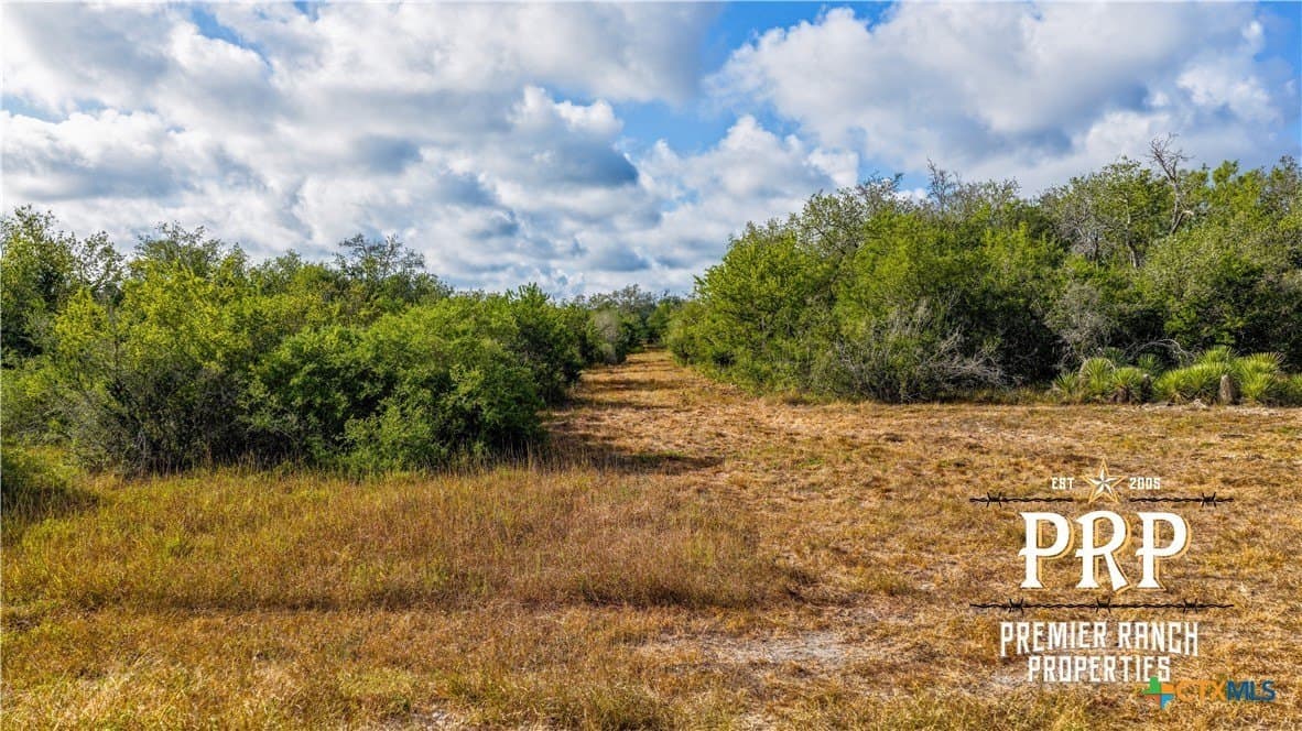 51.99 acres in Goliad County - photo 14