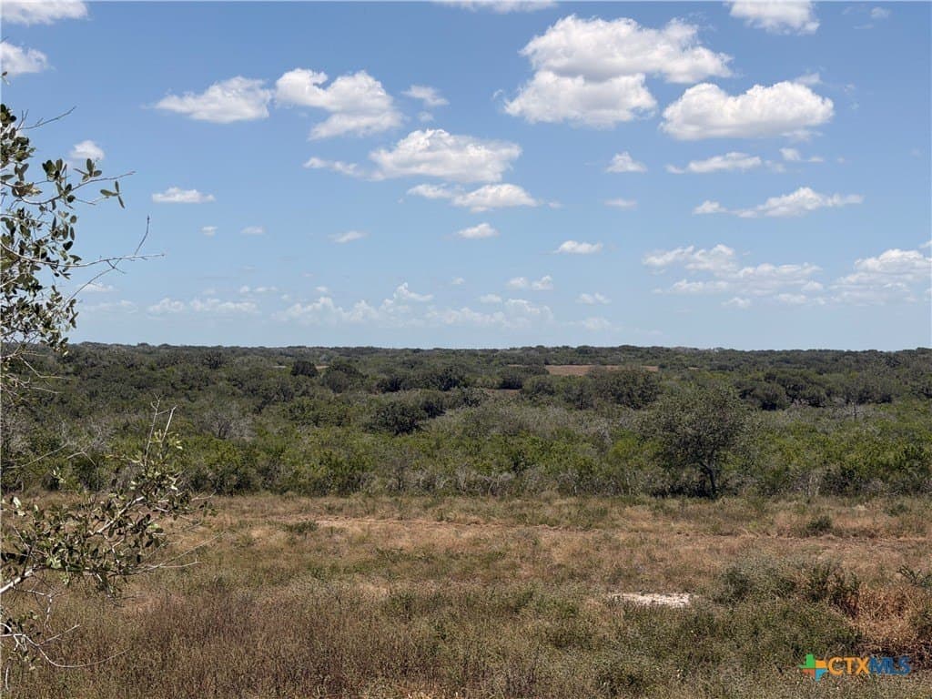 51.99 acres in Goliad County - photo 19