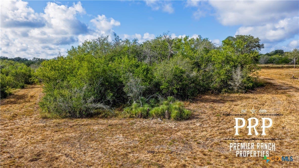 51.99 acres in Goliad County - photo 18