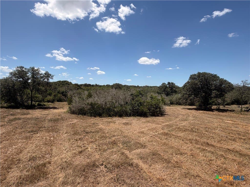 51.99 acres in Goliad County - photo 24