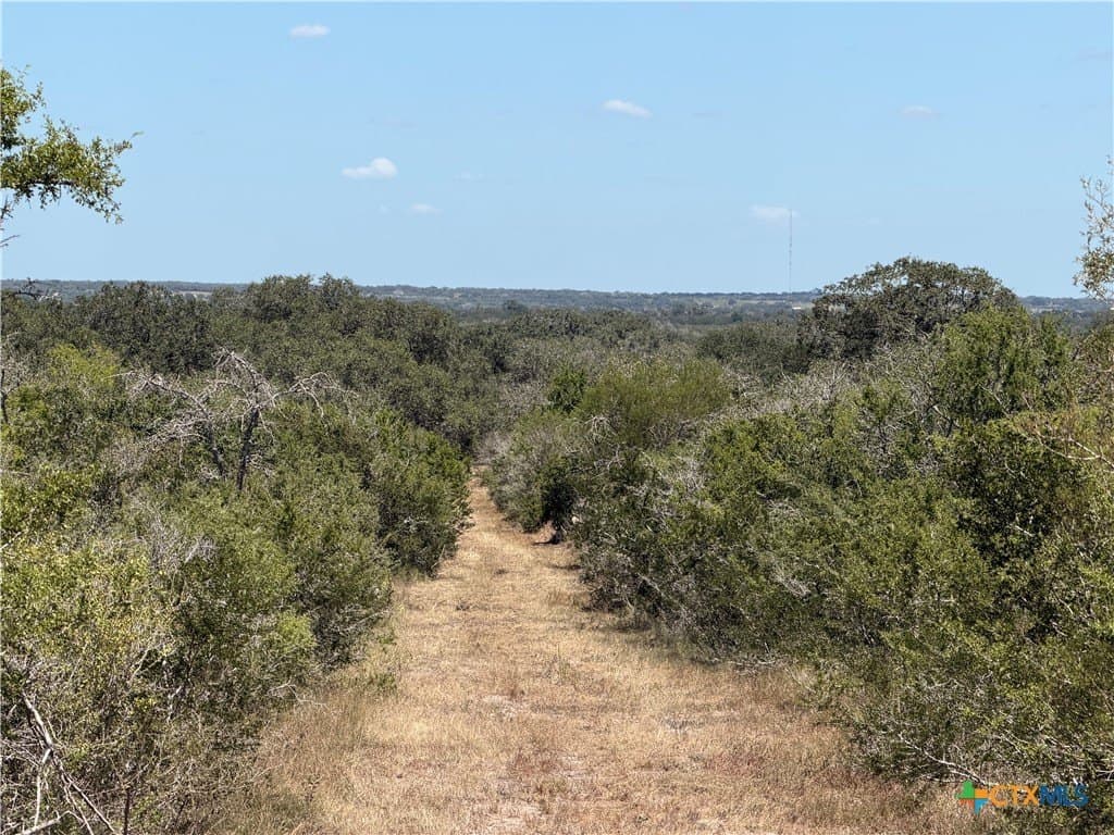 51.99 acres in Goliad County - photo 21